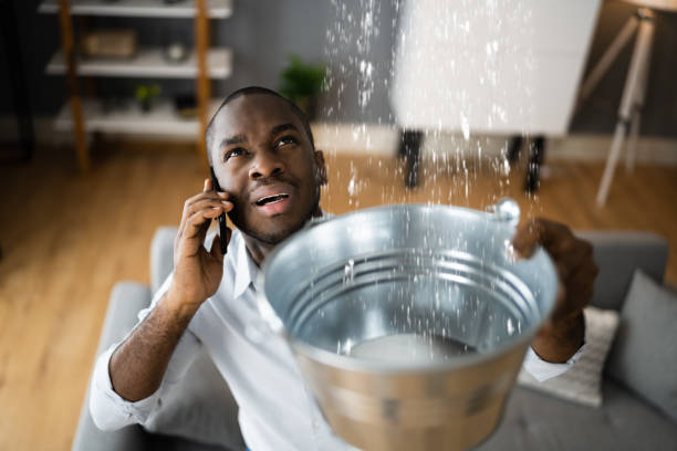 Best Flood damage cleanup  in Rocky Point, NC
