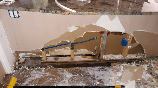 Rocky Point, NC Water damage restoration Pros