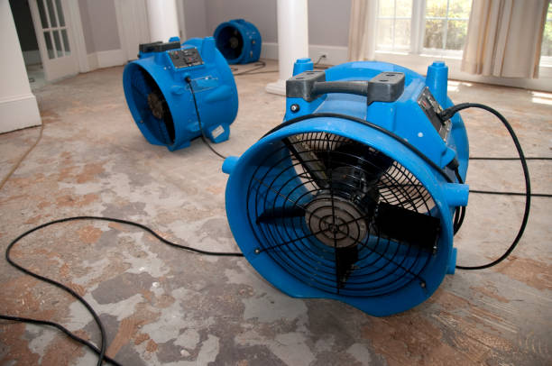 Best Carpet water damage restoration  in Rocky Point, NC