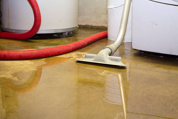 Best Basement water damage restoration  in Rocky Point, NC