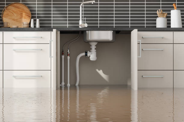 Best Flood restoration services  in Rocky Point, NC