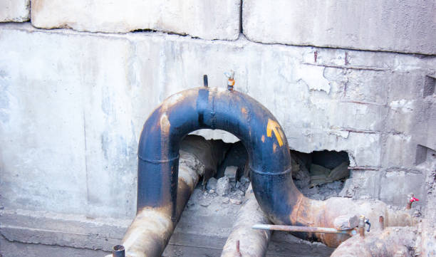 Best 24/7 water damage repair  in Rocky Point, NC