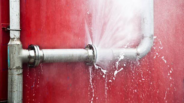 Best Sewage cleanup and water damage restoration  in Rocky Point, NC